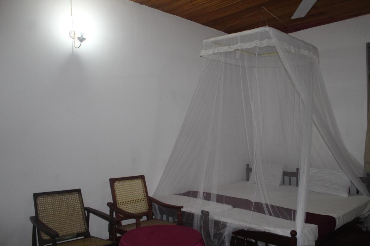 Lazy Bear Best Hostel In Κάντι Εξωτερικό φωτογραφία