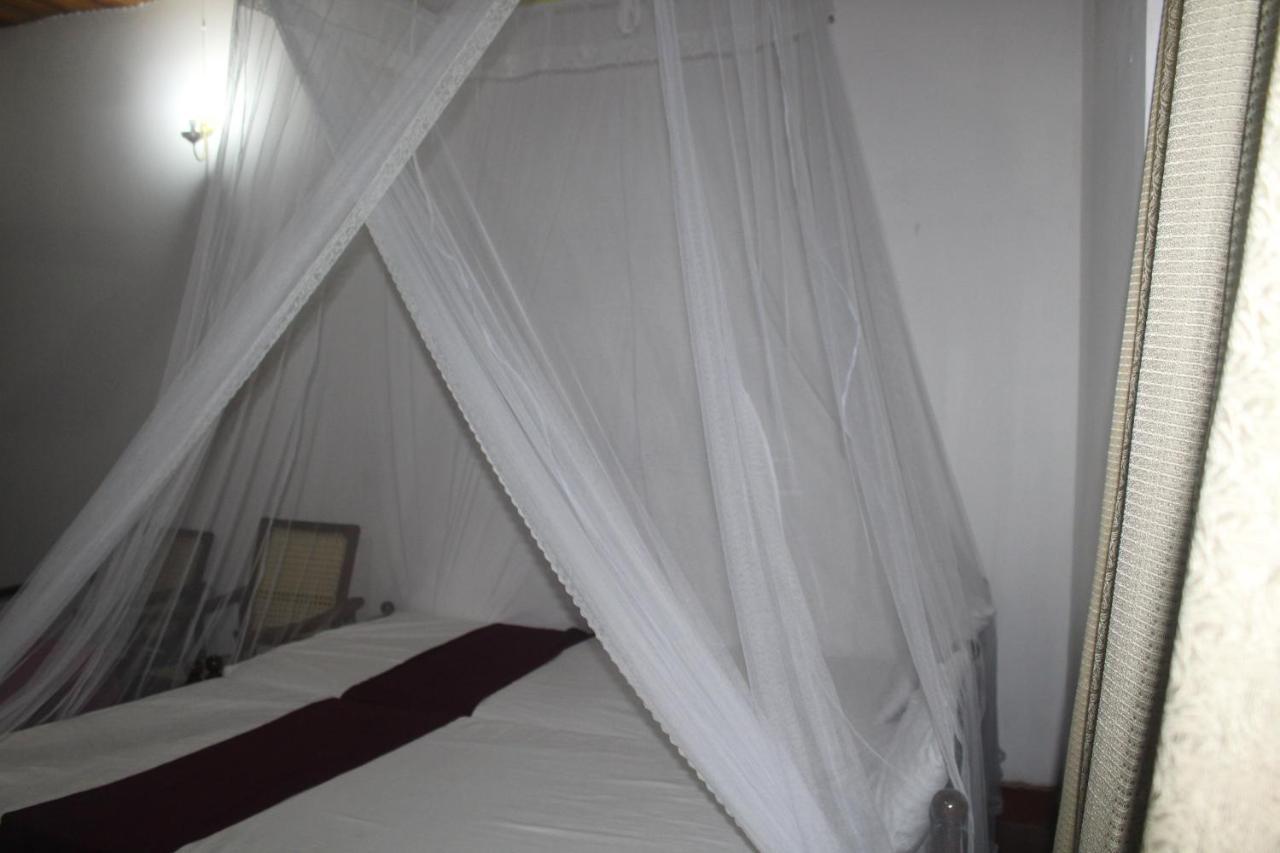 Lazy Bear Best Hostel In Κάντι Εξωτερικό φωτογραφία