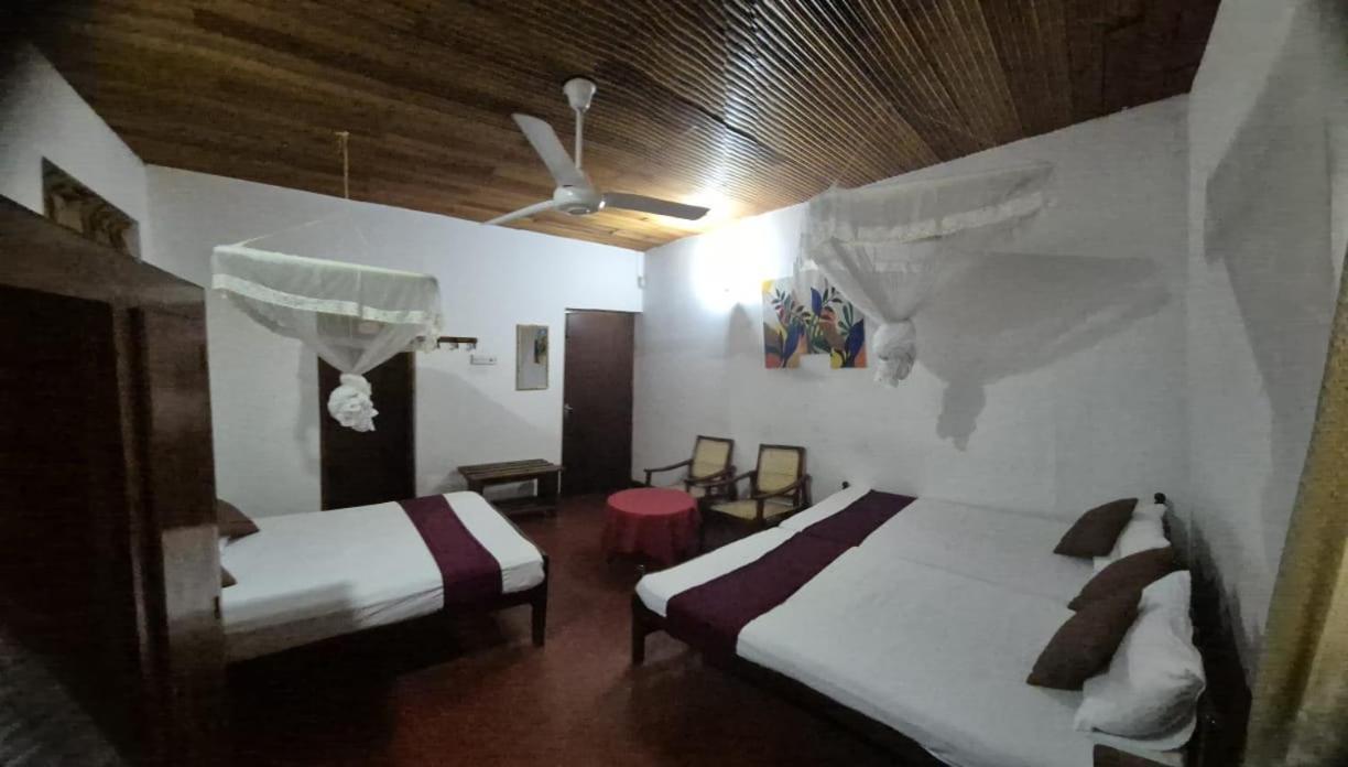 Lazy Bear Best Hostel In Κάντι Εξωτερικό φωτογραφία