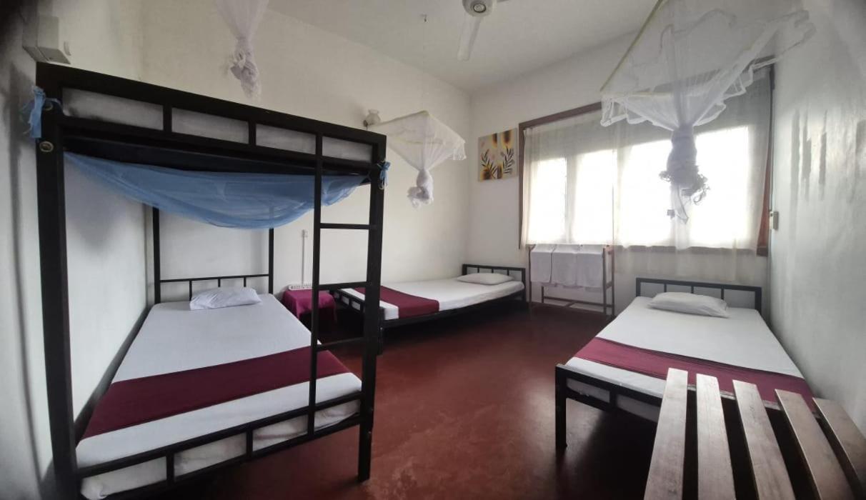 Lazy Bear Best Hostel In Κάντι Εξωτερικό φωτογραφία